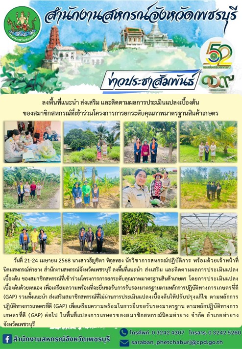 ty24042568 01
