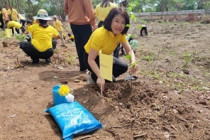 ปลูกต้นไม้และพัฒนาแปลงอนุรักษ์พันธุกรรมพืชนิคมสหกรณ์ท่ายาง พารามิเตอร์รูปภาพ 11