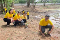 ปลูกต้นไม้และพัฒนาแปลงอนุรักษ์พันธุกรรมพืชนิคมสหกรณ์ท่ายาง พารามิเตอร์รูปภาพ 18