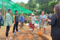 โครงการพัฒนาชุมชนในโครงการอันเนื่องมาจากพระราชประสงค์หนงพลับ – กลัดหลวง ... พารามิเตอร์รูปภาพ 4