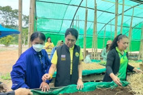 โครงการพัฒนาชุมชนในโครงการอันเนื่องมาจากพระราชประสงค์หนงพลับ – กลัดหลวง ... พารามิเตอร์รูปภาพ 5