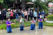 โครงการเสริมสร้างคุณธรรม จริยธรรม ... พารามิเตอร์รูปภาพ 5