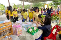 โครงการคลินิกเกษตรเคลื่อนที่ในพระราชานุเคราะห์ ... พารามิเตอร์รูปภาพ 15