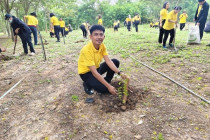 วันรักต้นไม้ประจำปีของชาติ พ.ศ. 2567 พารามิเตอร์รูปภาพ 17