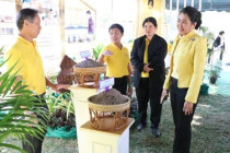 กิจกรรมวันดินโลก (World Soil Day) พารามิเตอร์รูปภาพ 31