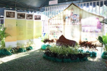 กิจกรรมวันดินโลก (World Soil Day) พารามิเตอร์รูปภาพ 8