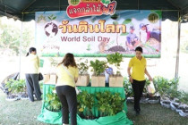 กิจกรรมวันดินโลก (World Soil Day) พารามิเตอร์รูปภาพ 9