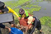 กิจกรรมลงแขกลงคลองกำกัดปลาหมอคางดำในพื้นที่จังหวัดเพชรบุรี พารามิเตอร์รูปภาพ 6