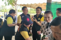 กิจกรรมลงแขกลงคลองกำกัดปลาหมอคางดำในพื้นที่จังหวัดเพชรบุรี พารามิเตอร์รูปภาพ 11