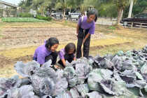 โครงการทัศนศึกษาเพื่อเสริมสร้างประสบการณ์ด้านการสหกรณ์แก่นักเรียนในโรงเรียนตามพระราชดำริฯ ... พารามิเตอร์รูปภาพ 11