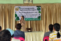 โครงการเศรษฐกิจพอเพียง (ปลูกผักปลอดสารพิษตามฤดูกาล) พารามิเตอร์รูปภาพ 1