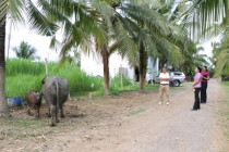 ประชุมการจัดกิจกรรมจิตอาสาพัฒนา 4 ภาค ... พารามิเตอร์รูปภาพ 12