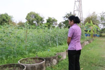 ประชุมการจัดกิจกรรมจิตอาสาพัฒนา 4 ภาค ... พารามิเตอร์รูปภาพ 14