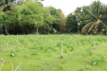 ประชุมการจัดกิจกรรมจิตอาสาพัฒนา 4 ภาค ... พารามิเตอร์รูปภาพ 17