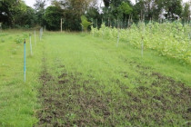 ประชุมการจัดกิจกรรมจิตอาสาพัฒนา 4 ภาค ... พารามิเตอร์รูปภาพ 19