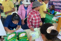 โครงการคลินิกเกษตรเคลื่อนที่ในพระราชานุเคราะห์ฯ พารามิเตอร์รูปภาพ 16