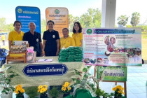 โครงการคลินิกเกษตรเคลื่อนที่ในพระราชานุเคราะห์ฯ พารามิเตอร์รูปภาพ 17