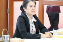 การติดตามผลการดำเนินงานตามแผนปฏิบัติงานและงบประมาณรายจ่าย ... พารามิเตอร์รูปภาพ 15