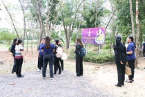 การติดตามผลการดำเนินงานตามแผนปฏิบัติงานและงบประมาณรายจ่าย ... พารามิเตอร์รูปภาพ 26