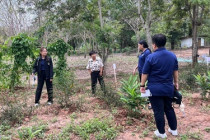 การติดตามผลการดำเนินงานตามแผนปฏิบัติงานและงบประมาณรายจ่าย ... พารามิเตอร์รูปภาพ 41