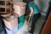 กิจกรรม Big Cleaning Day พารามิเตอร์รูปภาพ 4