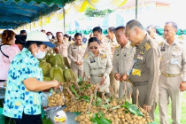งานของดีตำบลป่าเด็ง พารามิเตอร์รูปภาพ 10