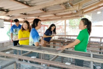 ต้อนรับเจ้าหน้าที่เก็บข้อมูลการแก้ไขปัญหาหนี้ พารามิเตอร์รูปภาพ 5