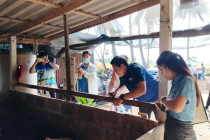 ต้อนรับเจ้าหน้าที่เก็บข้อมูลการแก้ไขปัญหาหนี้ พารามิเตอร์รูปภาพ 6