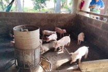 ต้อนรับเจ้าหน้าที่เก็บข้อมูลการแก้ไขปัญหาหนี้ พารามิเตอร์รูปภาพ 8