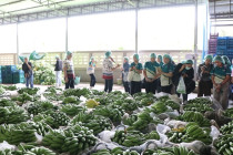 ต้อนรับบุคลากรกองพัฒนาสหกรณ์ภาคการเกษตรและกลุ่มเกษตรกร พารามิเตอร์รูปภาพ 10