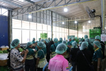 ต้อนรับบุคลากรกองพัฒนาสหกรณ์ภาคการเกษตรและกลุ่มเกษตรกร พารามิเตอร์รูปภาพ 11