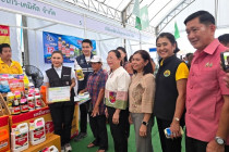 งานธงเขียวราคาประหยัด "ปุ๋ยถูก ยาดี ต้องที่ธงเขียว" ... พารามิเตอร์รูปภาพ 4