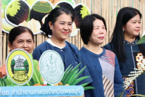 ตลาดเกษตร เพชรบุรี Phetchaburi Farmers Market พารามิเตอร์รูปภาพ 1
