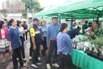 ตลาดเกษตร เพชรบุรี Phetchaburi Farmers Market พารามิเตอร์รูปภาพ 3