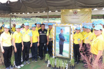 กิจกรรมจิตอาสาพัฒนา “เราทำความ ดี ด้วยหัวใจ” เนื่องในโอกาส ... พารามิเตอร์รูปภาพ 8