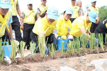 กิจกรรมจิตอาสาพัฒนา “เราทำความ ดี ด้วยหัวใจ” เนื่องในโอกาส ... พารามิเตอร์รูปภาพ 9