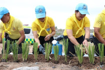 กิจกรรมจิตอาสาพัฒนา “เราทำความ ดี ด้วยหัวใจ” เนื่องในโอกาส ... พารามิเตอร์รูปภาพ 11