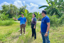 สำรวจพื้นที่โครงการตามพระราชประสงค์ดอนขุนห้วย พารามิเตอร์รูปภาพ 6