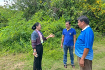 สำรวจพื้นที่โครงการตามพระราชประสงค์ดอนขุนห้วย พารามิเตอร์รูปภาพ 7