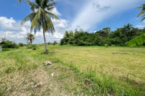 สำรวจพื้นที่โครงการตามพระราชประสงค์ดอนขุนห้วย พารามิเตอร์รูปภาพ 9