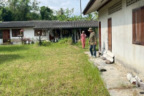 สำรวจพื้นที่โครงการตามพระราชประสงค์ดอนขุนห้วย พารามิเตอร์รูปภาพ 10