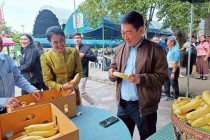 พิธีสมโภชองค์พระกฐินพระราชทานกรมส่งเสริมสหกรณ์ พารามิเตอร์รูปภาพ 15