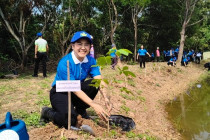 กิจกรรมวันรักต้นไม้ประจำปีของชาติ พารามิเตอร์รูปภาพ 1