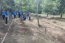 กิจกรรมวันรักต้นไม้ประจำปีของชาติ พารามิเตอร์รูปภาพ 10