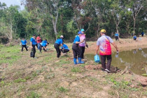 กิจกรรมวันรักต้นไม้ประจำปีของชาติ พารามิเตอร์รูปภาพ 11