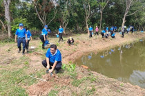 กิจกรรมวันรักต้นไม้ประจำปีของชาติ พารามิเตอร์รูปภาพ 13