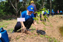 กิจกรรมวันรักต้นไม้ประจำปีของชาติ พารามิเตอร์รูปภาพ 6