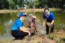 กิจกรรมวันรักต้นไม้ประจำปีของชาติ พารามิเตอร์รูปภาพ 7