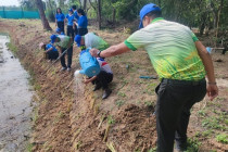 กิจกรรมวันรักต้นไม้ประจำปีของชาติ พารามิเตอร์รูปภาพ 8