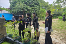 ลงพื้นที่ตรวจเยี่ยมโครงการอันเนื่องมาจากพระราชดำริจังหวัดเพชรบุรี ... พารามิเตอร์รูปภาพ 12